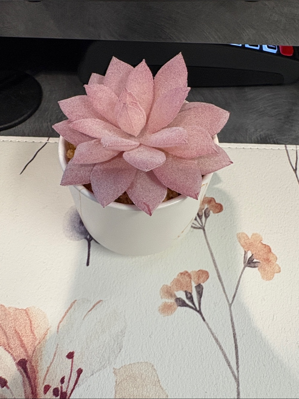 Pink Faux Succulent in White Pot - Home Accent